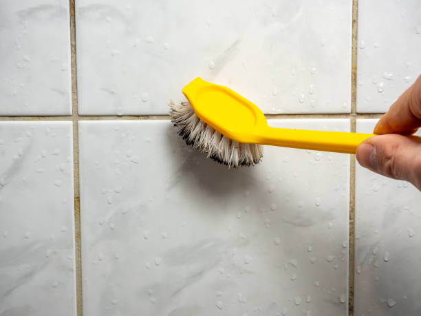 Best Mold Removal Process  in Mishawaka, IN